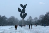 Śnieg w Szczecinie. Najbardziej cieszyli się najmłodsi. Ale i ich rodzice. Zobacz zdjęcia!