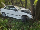 Iwkowa. Śmiertelny wypadek na drodze z Czchowa do Iwkowej, osobowe bmw uderzyło w drzewo, nie żyje 19-letni mężczyzna [ZDJĘCIA]