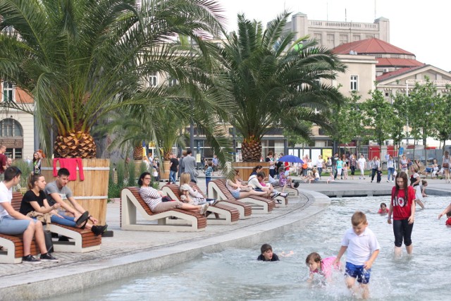 Palmy rynek Katowice