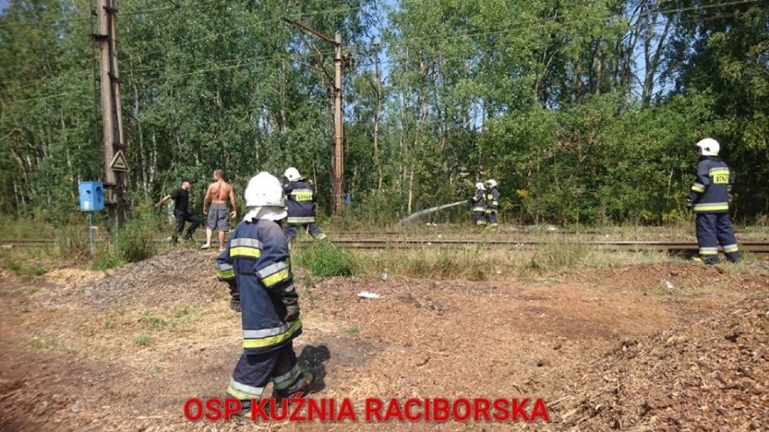 Strażacy gasili m.in. płonący nasyp kolejowy