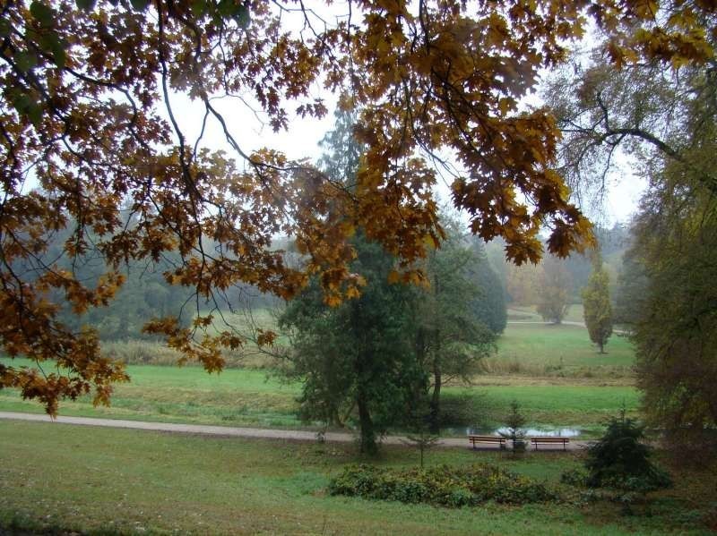 Gołuchów - park jesienią