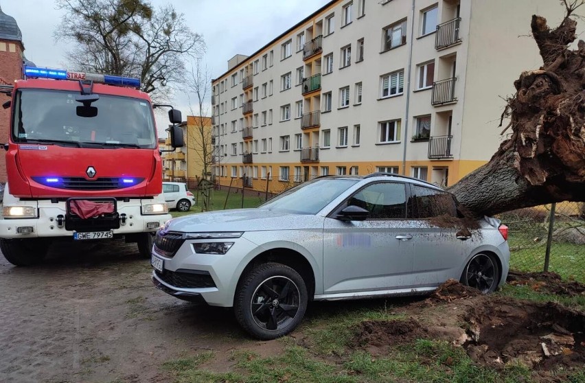 W Wejherowie na samochód spadło drzewo, a w Zwartowie na drogę. Skutki silnego wiatru