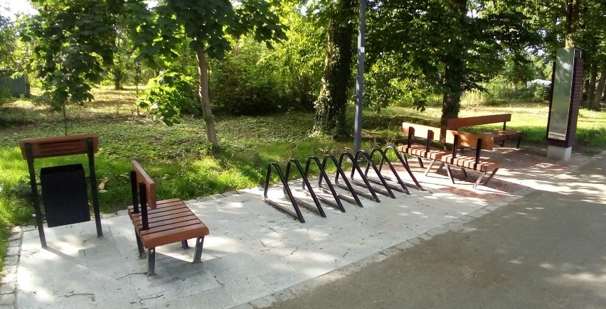 Park Miejski w Malborku po rewitalizacji [ZDJĘCIA]. Ścieżka, hotele dla owadów i kwietne łąki