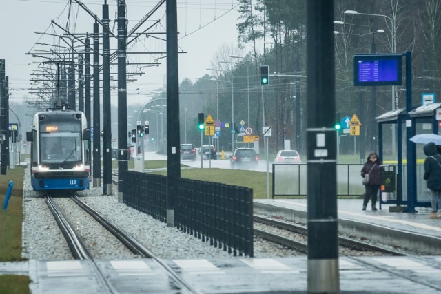 Najwięcej nowych drzew zostanie posadzonych w Fordonie. Zostaną one posadzone m.in. wzdłuż ul. Andersa i na pętli tramwajowej Niepodległości