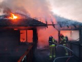 Pożar na terenie ZOO Safari w Borysewie. Spłonął pawilon na wodzie. Ogień zabił małpy i papugi ZDJĘCIA