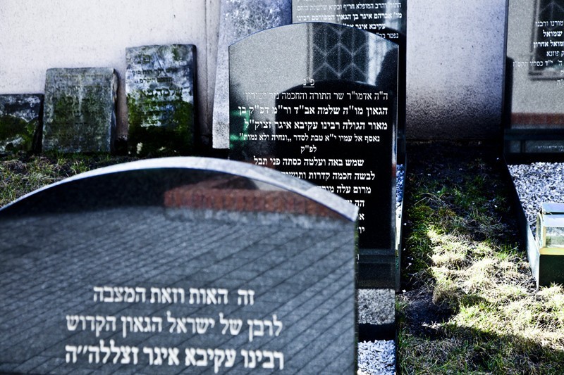 Poznań: (Nie)zapomniany żydowski cmentarz na Łazarzu [ZDJĘCIA]