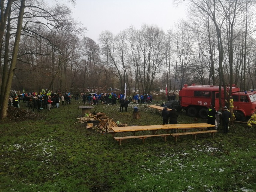 Ponad 100 morsów weszło do Rawki pod Skierniewicami. Wszystko w celach charytatywnych