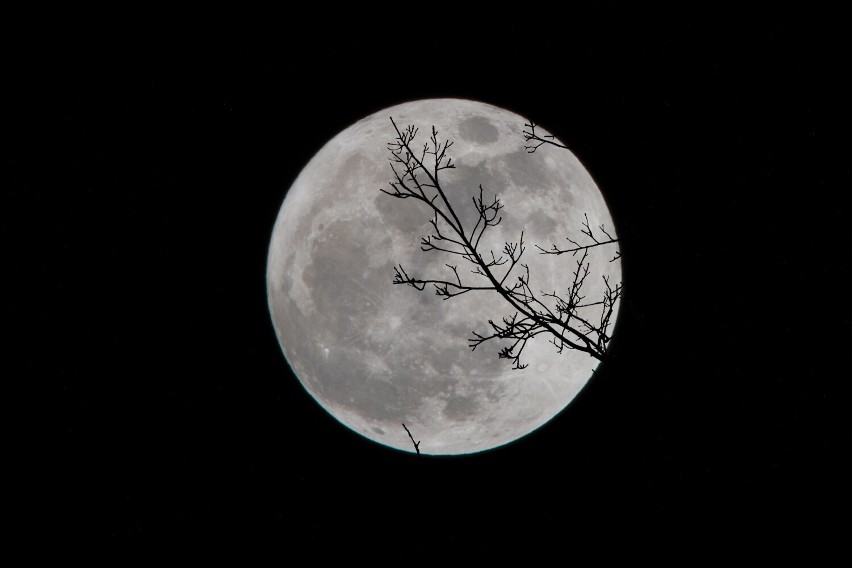 Pełnia Zimnego Księżyca - niezwykła pełnia już 8 grudnia.