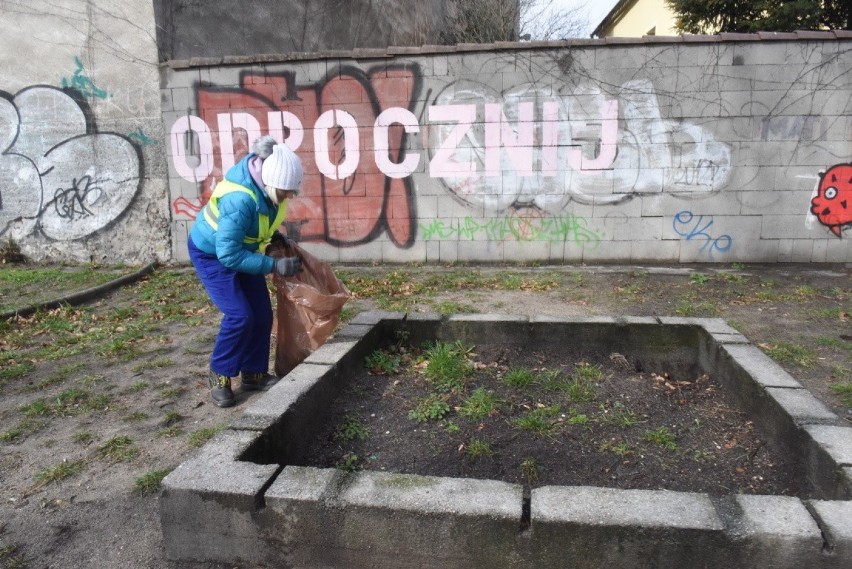 Zielona Góra też będzie miała swoje ogrody kieszonkowe!...