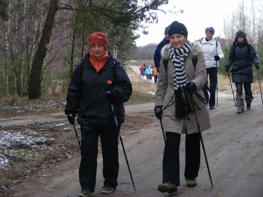 Wycieczka nordic walking przez Puszczę Zielonkę [ZDJĘCIA]