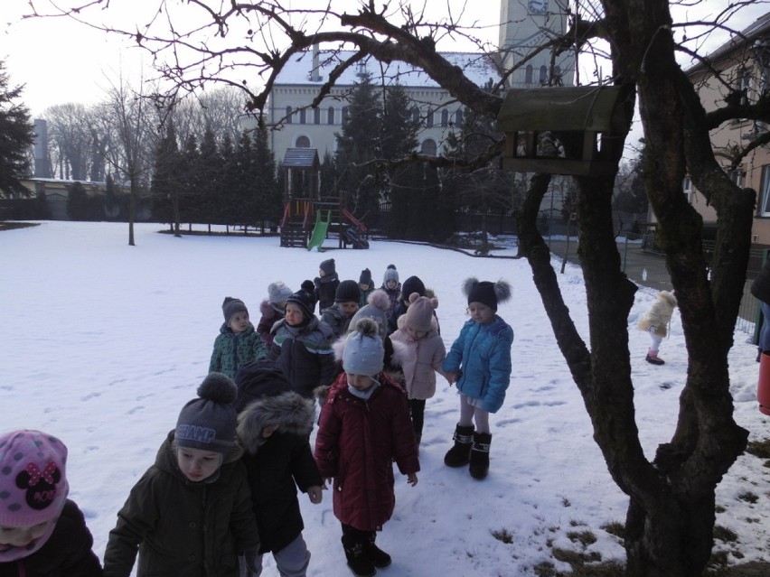 Przedszkolaki ze ,,Słonecznego" dokarmiają skrzydlatych przyjaciół zimą