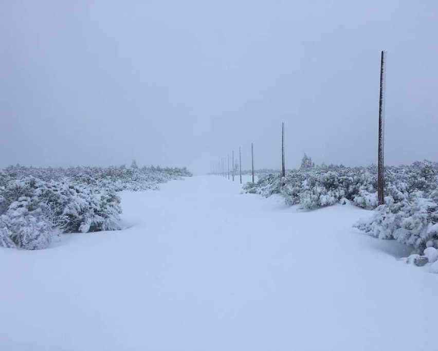 W Karkonoszach sypnęło śniegiem! Spadło 15 centymetrów! 