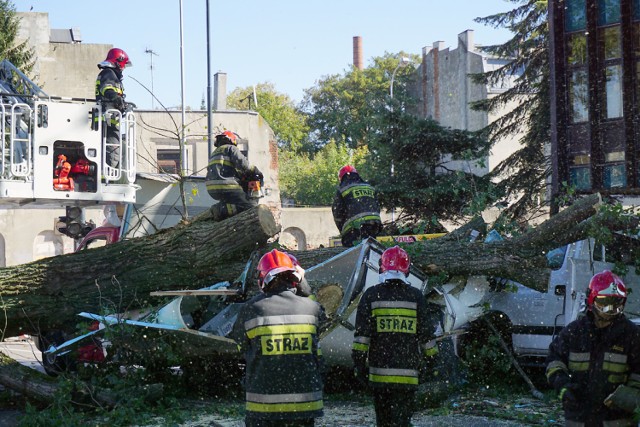 6 Sierpnia przy Żeligowskiego w Łodzi, strażacy usuwają topolę przewróconą przez wiatr