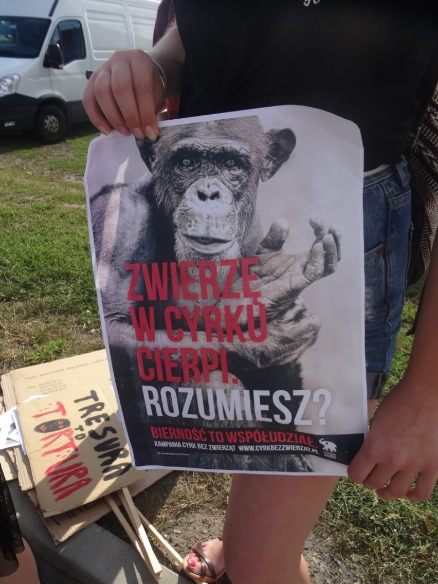 Opalenica: protest przed występem cyrku. Protestujący wyrazili swój sprzeciw wobec wykorzystywaniu w cyrku zwierząt