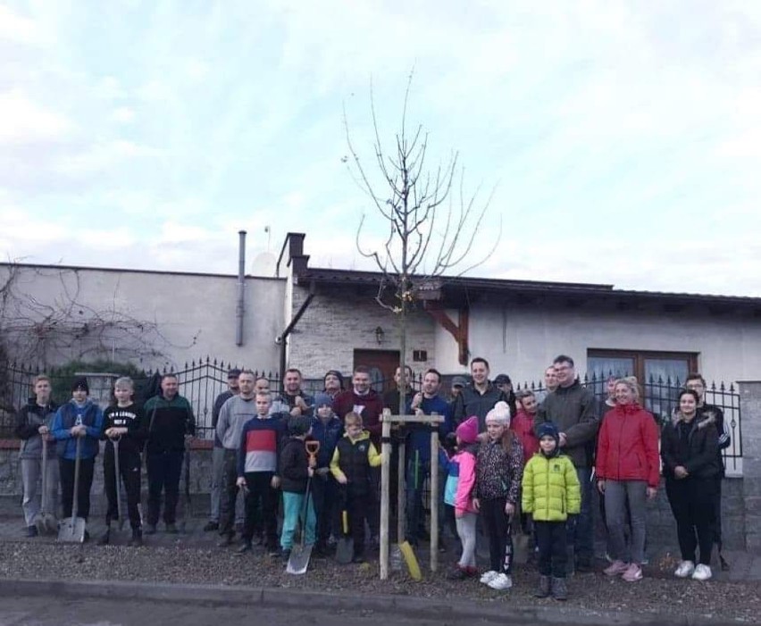 Sąsiedzka akcja wspólnego sadzenia drzew na osiedlu