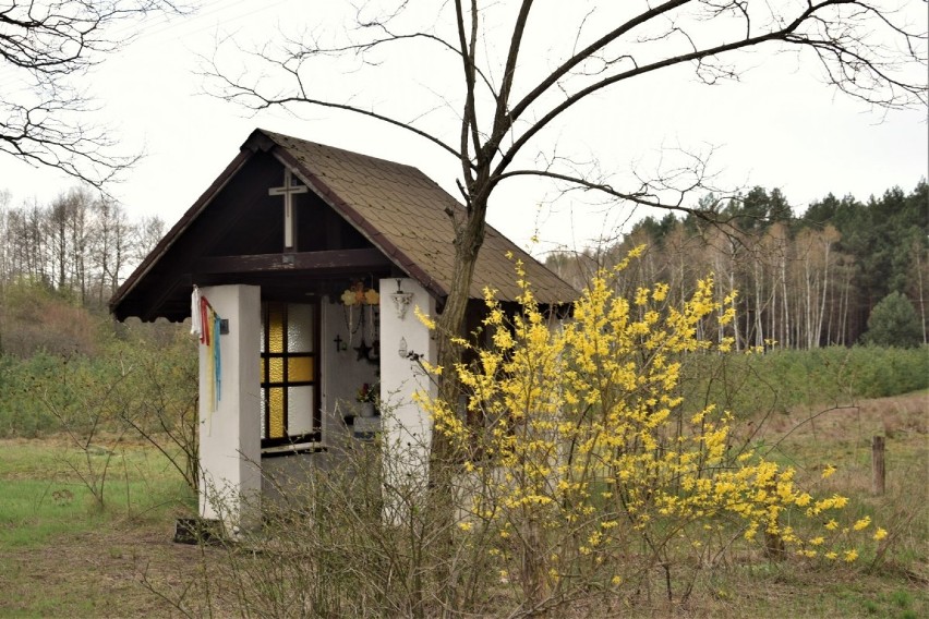 Przydrożna domkowa kapliczka z figurką Matki Boskiej w Przychodzku