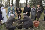 W Jarosławiu posadzono dwa dęby pamięci