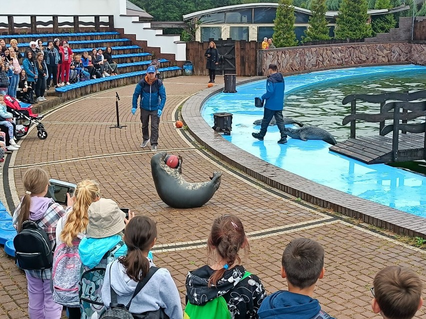 Gmina Stegna. Dzieci odwiedziły Park Rekreacyjno-Edukacyjny Sea Park . To była zabawa i edukacja w jednym