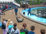 Gmina Stegna. Dzieci odwiedziły Park Rekreacyjno-Edukacyjny Sea Park . To była zabawa i edukacja w jednym