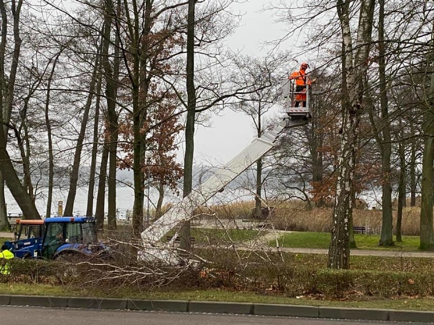 Wycinka drzew w parku w Szczecinku. Ulica Ordona była nieprzejezdna [zdjęcia]