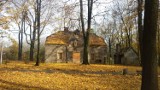 Park Zamkowy jesienią [GALERIA]