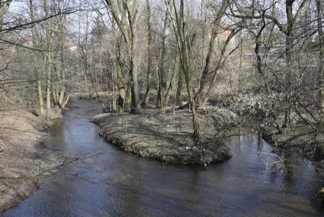 Wykonany został pierwszy krok na drodze do dalszej rewitalizacji Parku Miejskiego w Skierniewicach. Tym razem odnowiona ma być część od strony ul. Łowickiej, a obecnie miasto ogłosiło przetarg na opracowanie dokumentacji. Będzie ona podstawą do starania się o zewnętrzne dofinansowanie.