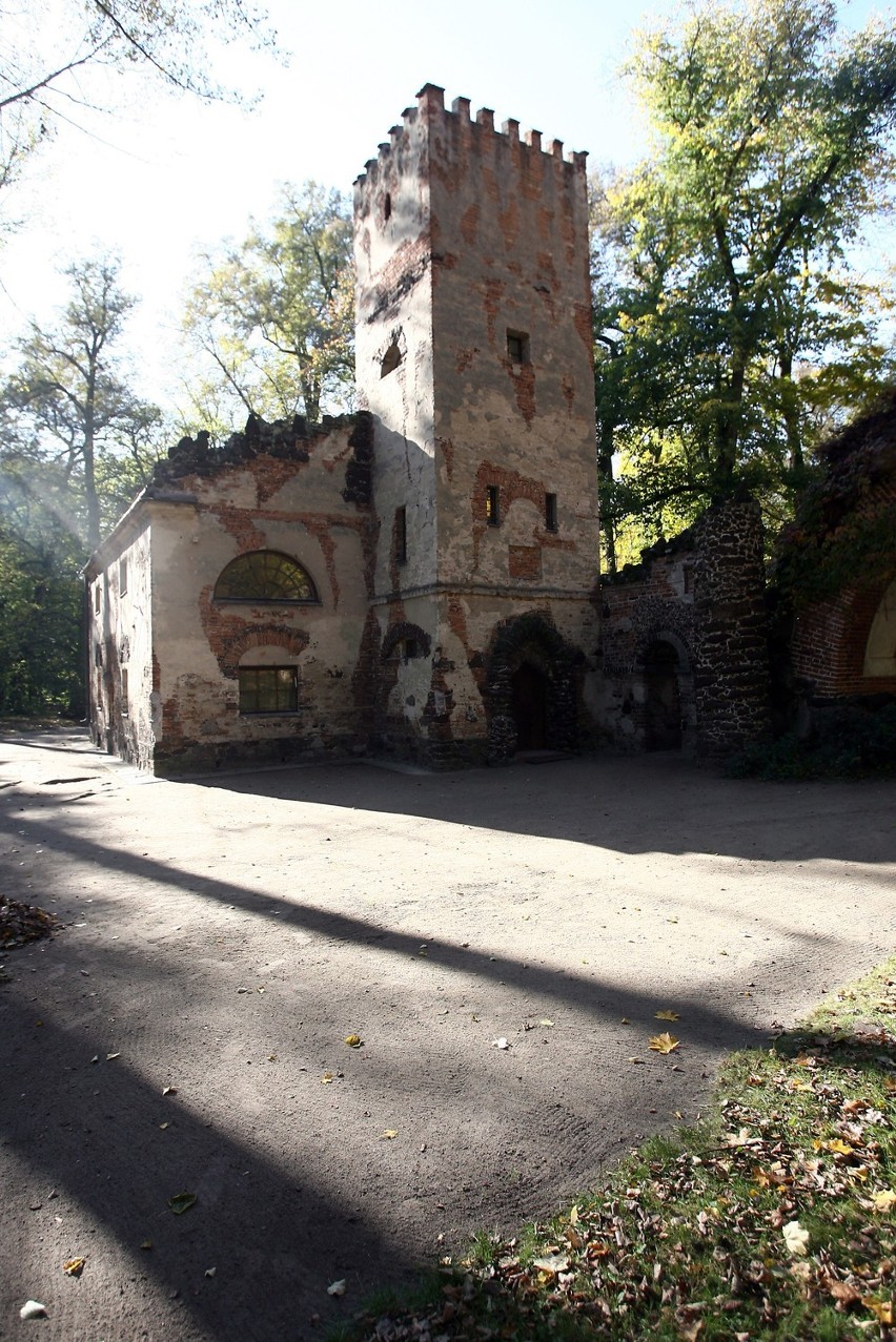 Mazowieckie parki: wybierz się na spacer [PRZEWODNIK]