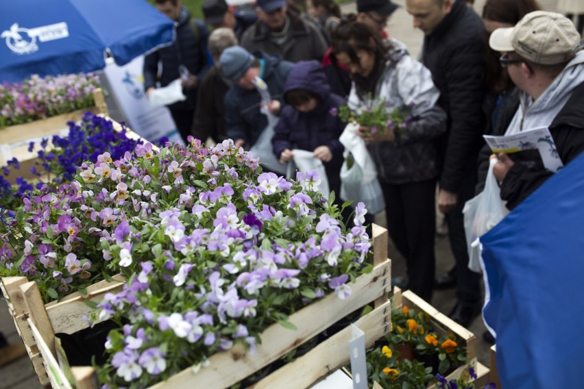 "Zamień odpadki na kwiatki". W Łagowie zużyty sprzęt mieszkańcy będą mogli wymienić na kwiaty i koszulki