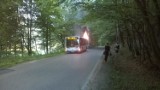 W Gdyni zapalił się autobus. Pasażerowie zostali ewakuowani [ZDJĘCIA] 