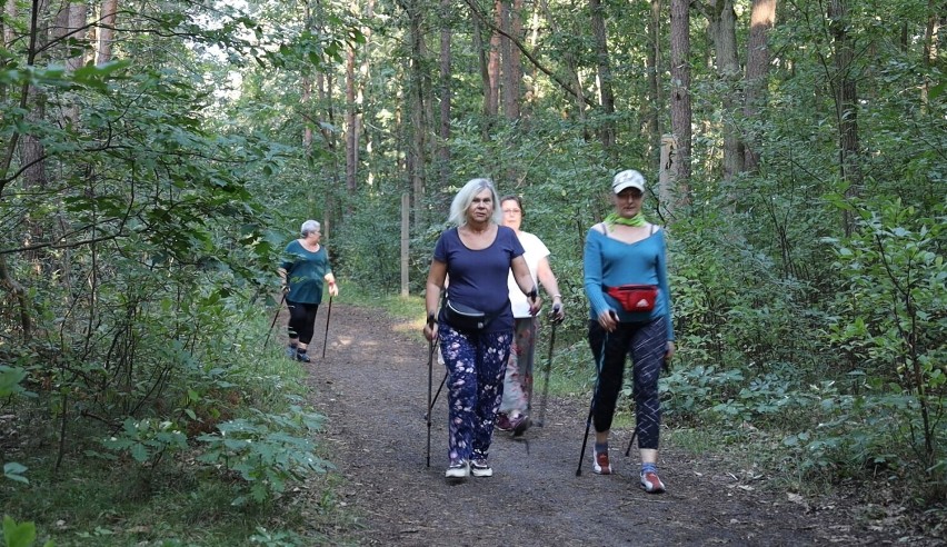 Trenerzy Nordic Walking czekają nie tylko na seniorów. Bezpłatne zajęcia przy stadionie miejskim 