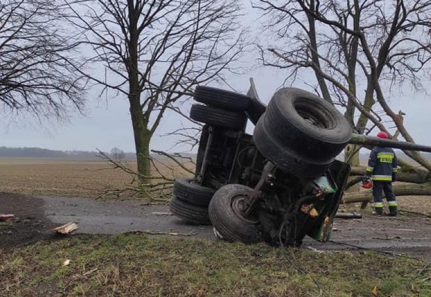 Ciężarówka skosiła drzewo. Strażacy w akcji pod Nowogardem