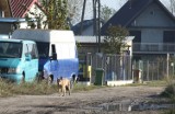 Cykl spotkań o odnowie dzielnic w Gdyni przez cały październik. Poprowadzi je Laboratorium Innowacji Społecznych