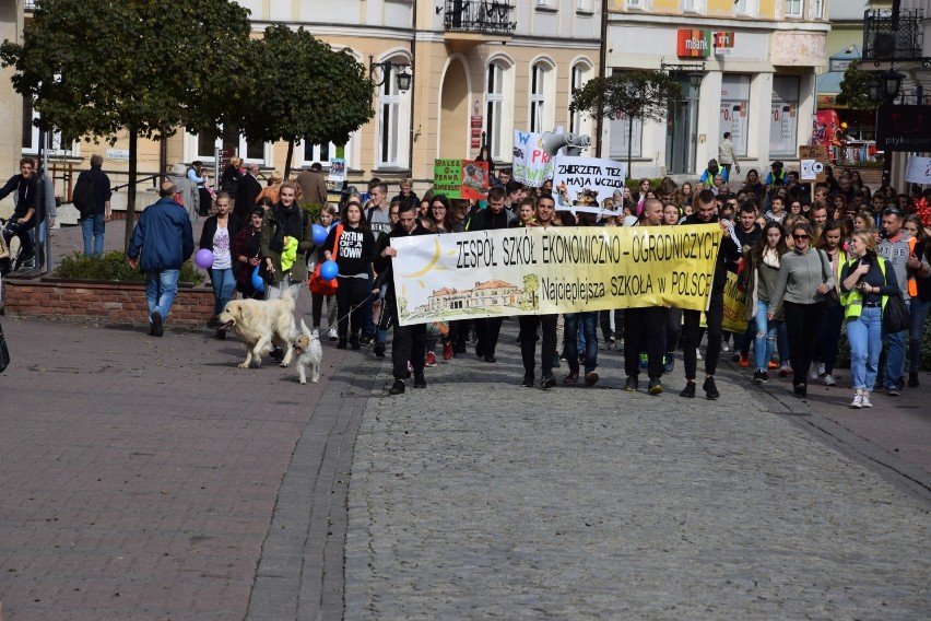 Tarnów. Marsz w obronie praw zwierząt [ZDJĘCIA]