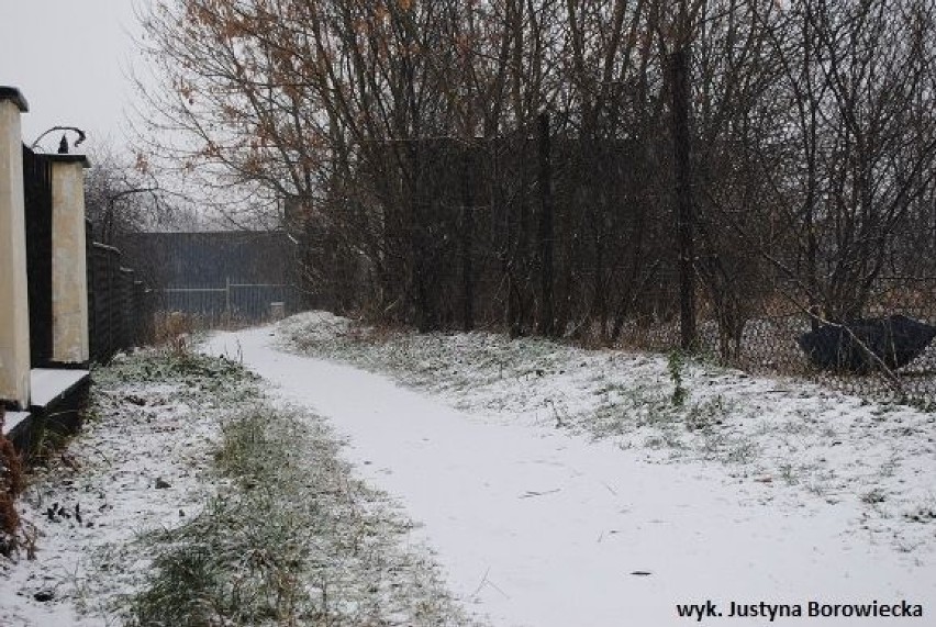 Ścieżka też pokryta śniegiem...Fot: Justyna Borowiecka