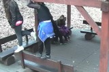 Młodzież próbowała zniszczyć wiatę w parku