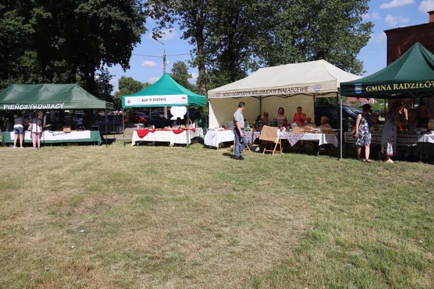 Piknik z Folklorem po raz siódmy bawił mieszkańców [zdjęcia]