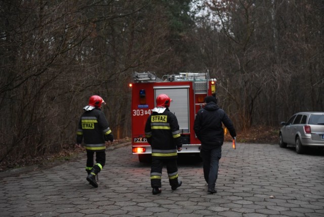 Policjanci znaleźli zwłoki zaginionej 43-letniej Alicji Żebrowskiej, mieszkanki Łowęcina. Poszukiwania trwały od 22 grudnia, kiedy to zgłoszono jej zaginięcie. Ostatni trop prowadził na przystanek autobusu linii 66 przy ul. Browarnej w Antoninku. - Policjanci odnaleźli zwłoki w odległości 200-300 metrów od przystanku - mówi Piotr Garstka z wielkopolskiej policji. 

ZOBACZ WIĘCEJ: Znaleziono zwłoki zaginionej kobiety z Łowęcina