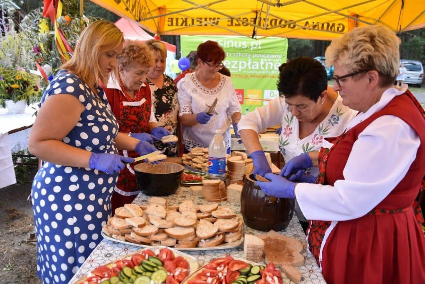 Dożynki w Godzieszach Wielkich. Podziękowali za tegoroczne plony ZDJĘCIA