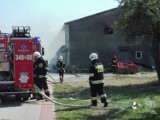 Pożar kurnika przy ul. Szwedzkiej w Kościelnej Wsi. Zginęły tysiące kurcząt [FOTO, WIDEO]