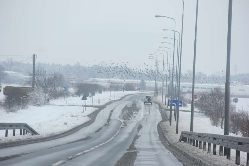 Pogoda Wągrowiec: Zima opanowała miasto
