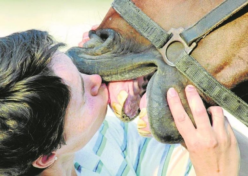 Każda z tych fotografii opowiada niezwykłą historię o związku człowieka ze zwierzętami! 