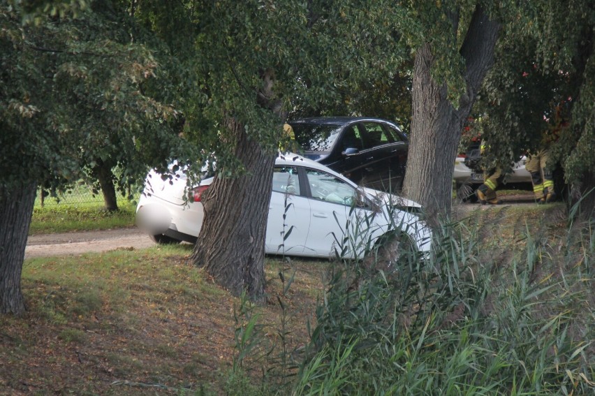 Samochód uderzył w przydrożne drzewo. Mało brakowało, by wpadł do stawu [ZDJĘCIA]   