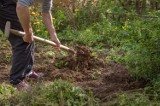 Ogród bez kopania, czyli metoda „no dig”. Na czym polega taki rodzaj uprawy ogrodu