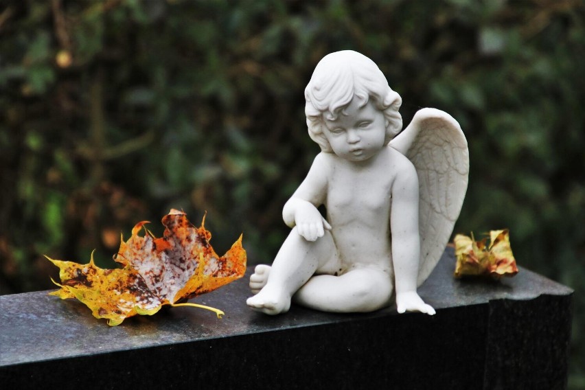 Jednym z zadań w Twardogórskim Budżecie Obywatelskim na 2023 rok jest utworzenie grobu dla dzieci utraconych