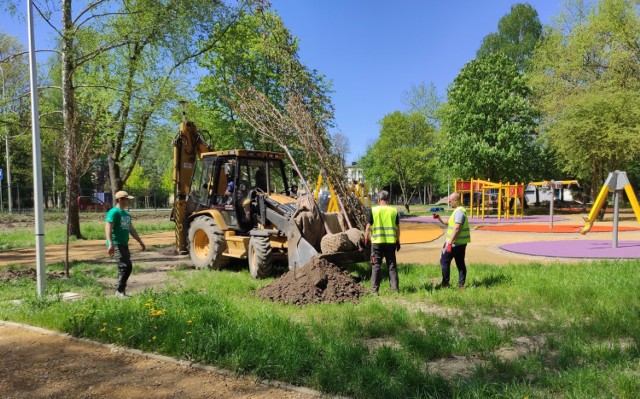 W parku Pokoju na os. Chemików pracownicy sadzą nowe drzewa. Prowadzone są też ostatnie prace wykończeniowe i przy budowie zaplecza techniczno-sanitarnego.