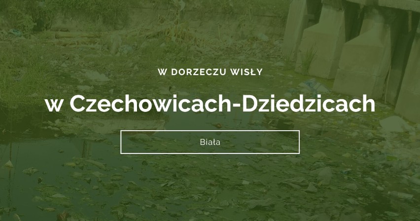 Wisła i Odra w woj.śląskim zmieniają się zanieczyszczony...