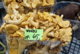Szokujące ceny grzybów 2022. Ile zapłacimy za grzyby na poznańskich targowiskach?
