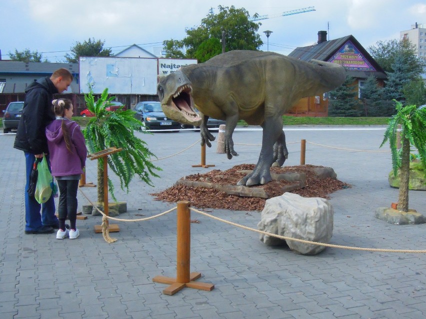 Koło zamojskiego Carrefoura straszą dinozaury