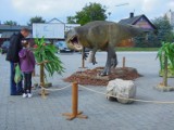 Zamość: Koło Carrefoura straszą dinozaury. ZDJĘCIA