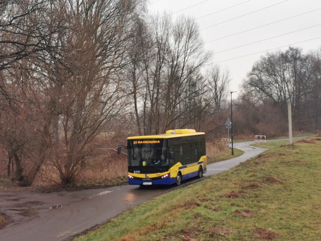 Autobusy nowej linii nr 21 w Kaliszu manewrują po ścieżce pieszo-rowerowej